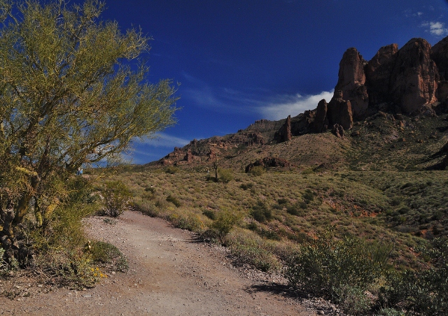 The trail